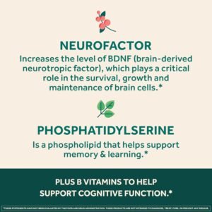 NEURIVA Ultra Decaffeinated Clinically Tested Nootropic Brain Supplement for Mental Alertness, Memory, Focus & Concentration, Cognivive, Neurofactor, Phosphatidylserine, Vitamins B6 B12, 60 Capsules - Image 8