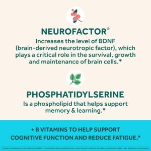 NEURIVA Plus Brain Supplement for Memory,Focus & Concentration+Cognitive Function with Vitamins B6 & B12 and Clinically Tested Nootropics Phosphatidylserine and Neurofactor,50ct Strawberry Gummies - Image 6