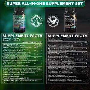 Boysea.Shilajit and Sea Moss Bundle- 90 Count - Sea Moss 7000mg, Black Seed Oil 4000mg, Ashwagandha 2000mg, Ginger & Shilajit 9000mg, Rhodiola Rosea 1000mg, All in 1 Supplements (1 Pack) - Image 3