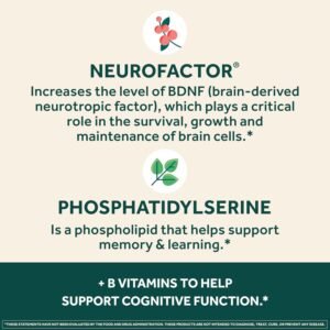 NEURIVA Plus Brain Supplement for Memory and Focus Clinically Tested Nootropics for Concentration for Mental Clarity, Cognitive Enhancement Vitamins B6, B12, Phosphatidylserine 30 Capsules - Image 5