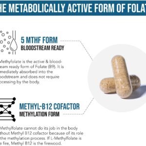 L Methyl Folate 15mg Plus Methyl B12 Cofactor – High Potency, Active 5-MTHF Form - Supports Mood, Methylation, Cognition – Bioactive Forms of Vitamin B9 & B12 (60 Capsules – 60 Servings) - Image 6