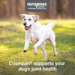 Nutramax Cosequin for Dogs Joint Health Supplement, Contains Glucosamine for Dogs, Plus Chondroitin and MSM, Supports Healthy Joints, Chewable Tablets, 132 Count - Image 4