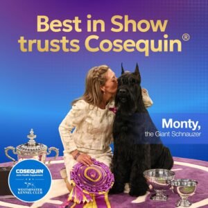 Nutramax Cosequin for Dogs Joint Health Supplement, Contains Glucosamine for Dogs, Plus Chondroitin and MSM, Supports Healthy Joints, Chewable Tablets, 132 Count - Image 7